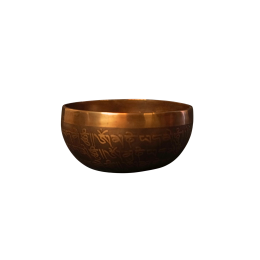 637