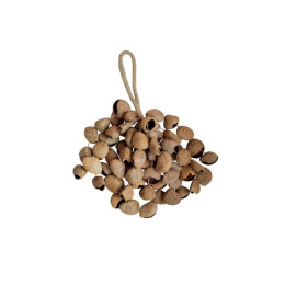 Seedshaker XXL Pangi