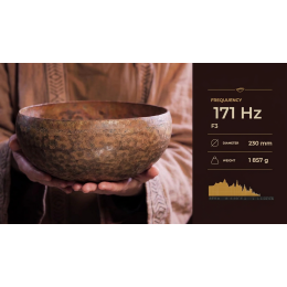 Співоча чаша №751 Fire Bowl DK06-230