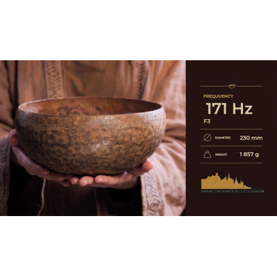 Кована співоча чаша Fire Bowl 171 Hz, 230 мм (DK06-230)